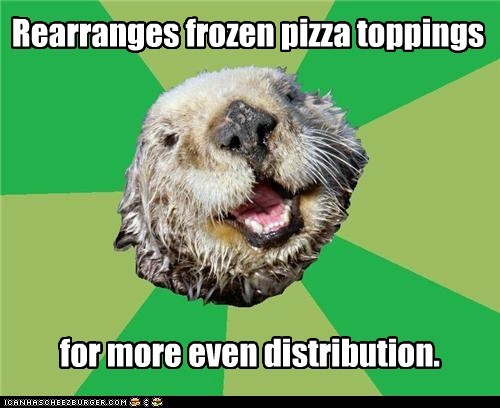 Animal Memes: OCD Otter - Convenience Should Not Equal Carelessness