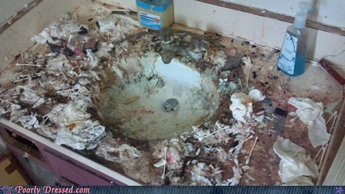 Meanwhile in The Poorly Dressed Bathroom...