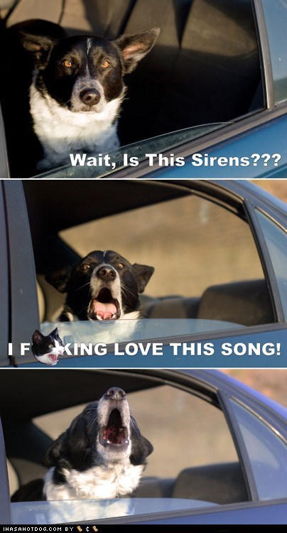 DIS MAI JAM!