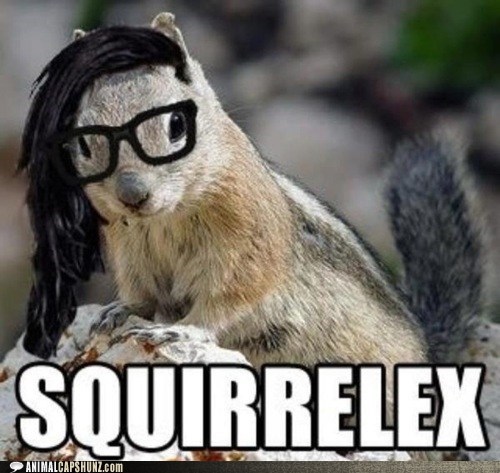 Animal Capshunz: The Most Popular Nutstep Artist