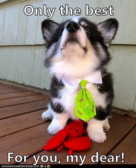 U can has lobsta!
