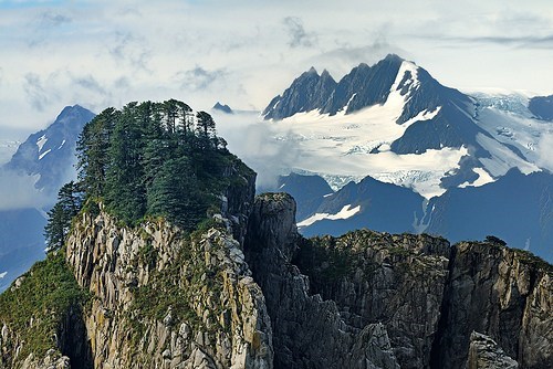 Mountain Top Forest, Alaska