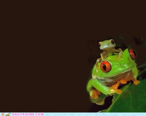 Daily Squee: Stack 'em Up!