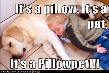 Pillow + Pet