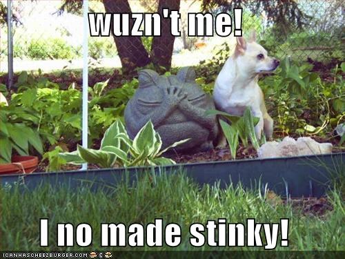 wuzn't me!  I no made stinky!