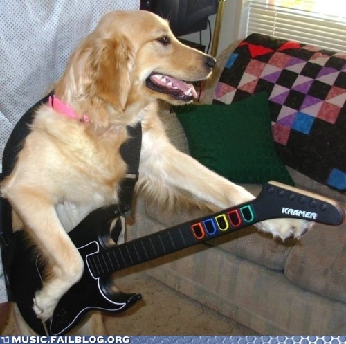 Guitar Fido