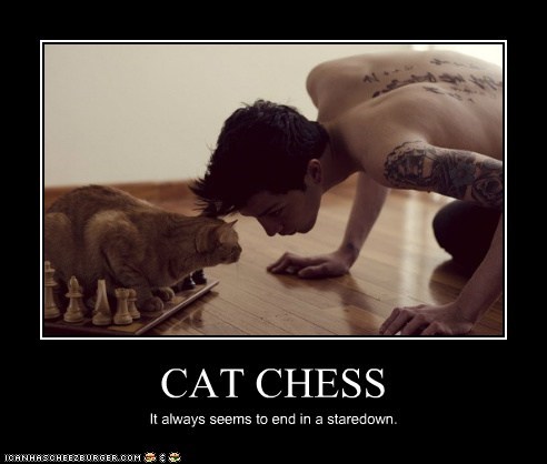 CAT CHESS
