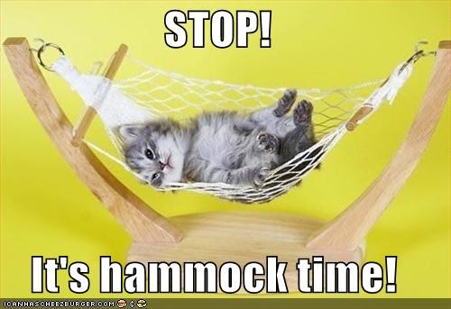 STOP!  It's hammock time!