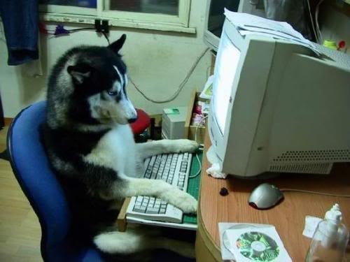 Anyone or Anything Can Blog News of the Day