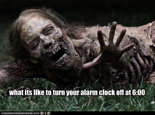 Every Morning