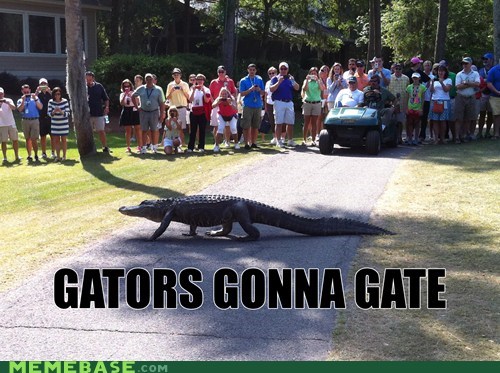 Gators Gonna Gate