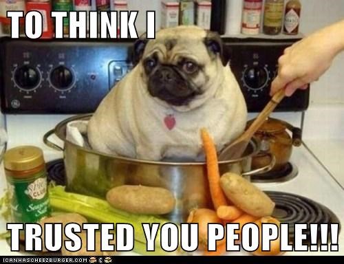 TO THINK I  TRUSTED YOU PEOPLE!!!