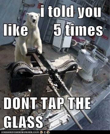 Animal Capshunz: Maybe Now You'll Listen