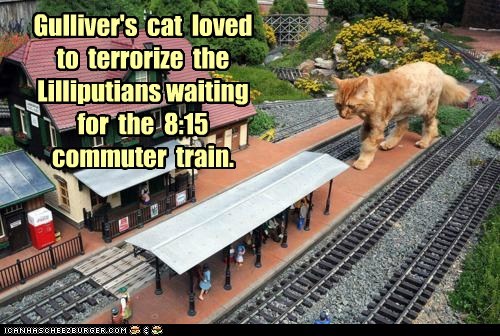 Gulliver's  cat