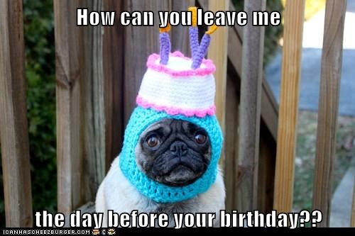 How can you leave me  the day before your birthday??