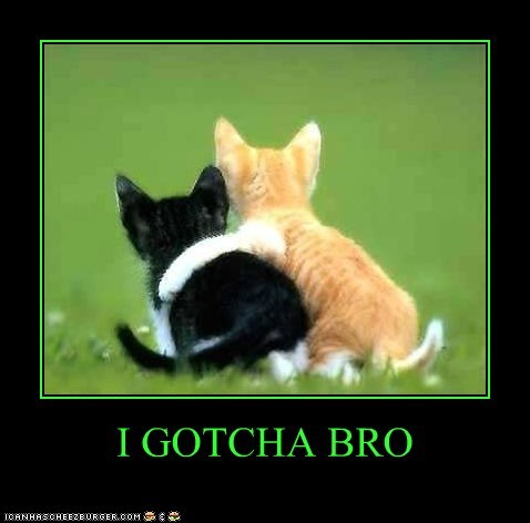 I GOTCHA BRO