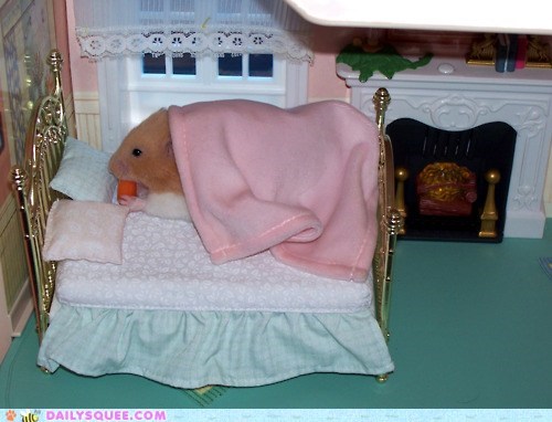 Daily Squee: Breakfast in Bed 