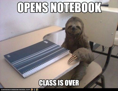 I Can Has Cheezburger: Why Sloth School Is a Bad Idea