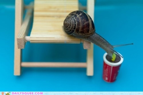 Daily Squee: Creepicute - Slow Sips