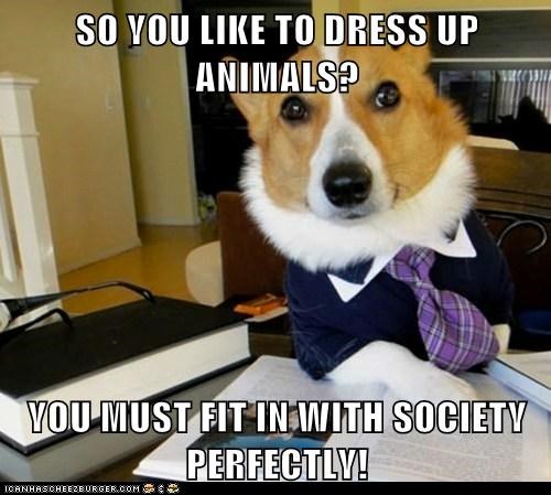 SO YOU LIKE TO DRESS UP ANIMALS?  YOU MUST FIT IN WITH SOCIETY PERFECTLY!