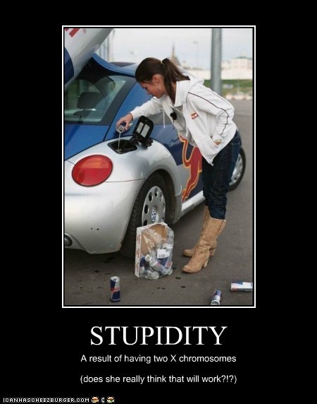 STUPIDITY