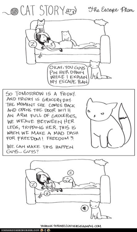 The Escape Plan