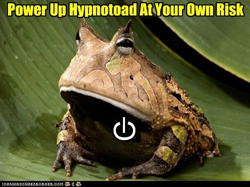 I Don't See What Could Possibly Go -- All Glory to the Hypnotoad