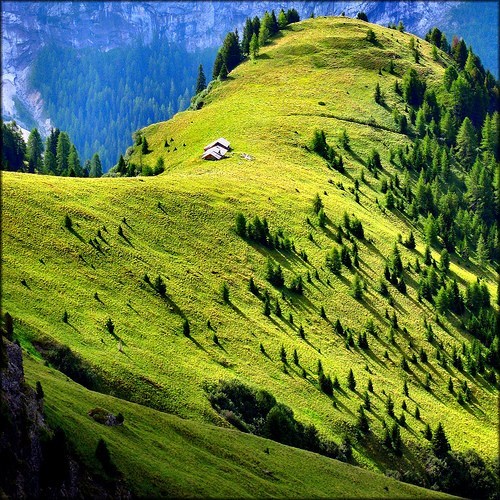 Mountain Meadow, Val di Fassa, Italy