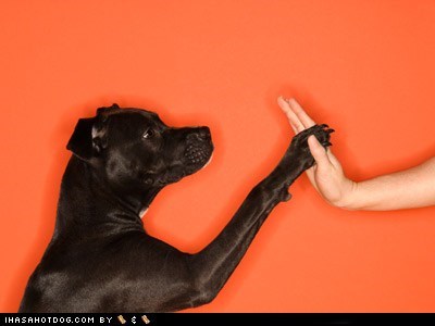 High Five!