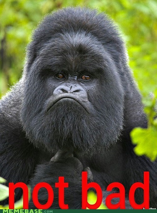 Gorilla Approves