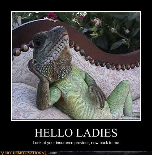 HELLO LADIES