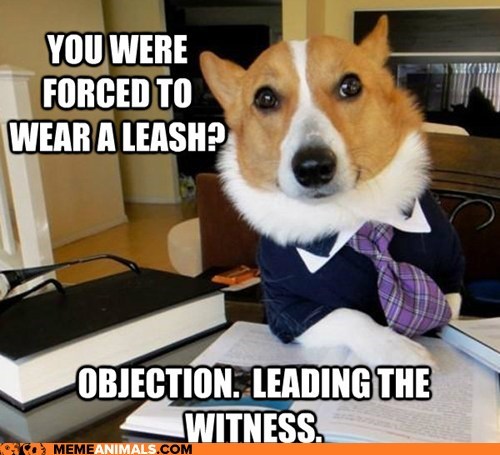 Animal Memes: Lawyer Dog - The Collar Was Bad Enough