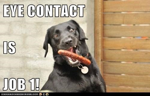 EYE CONTACT IS JOB 1!