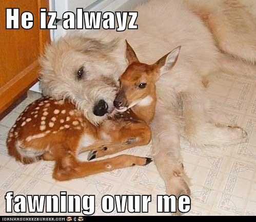 I fink he lieks me