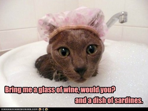 Lolcats: Bring me a glass of wine, would you?