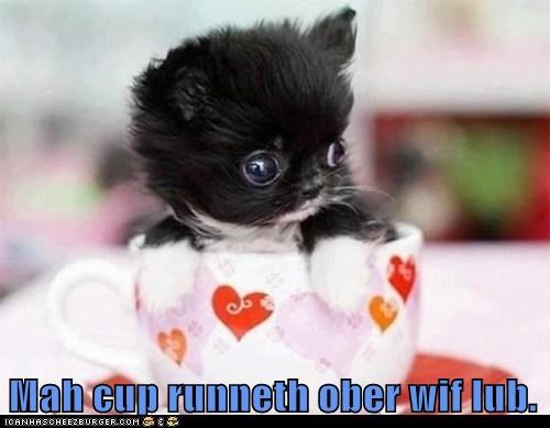 So much love!