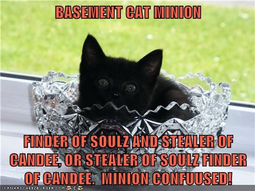 BASEMENT CAT MINION