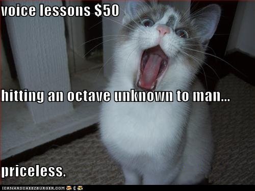 Classic LOLcat