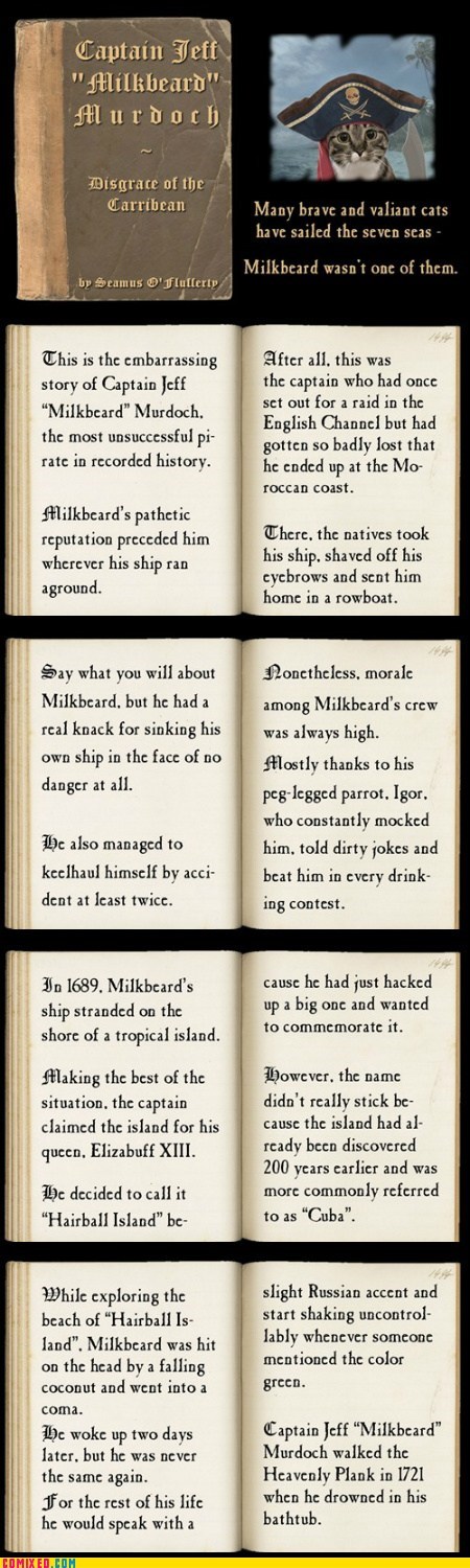 Captain Jeff "Milkbeard" Murdoch - Disgrace of the Carribean - by Seamus O'Flufferty