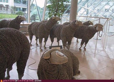 Sheep Phones