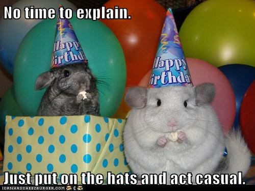 Animal Capshunz: Hurry! They're Coming!