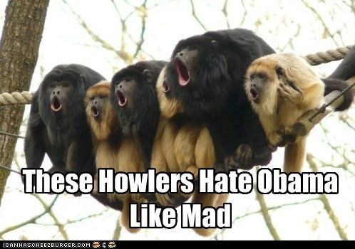 Howlers Reaction To Obama's Second Term In Office