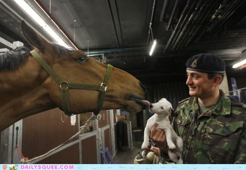 Interspecies Love: Big Friend Kisses