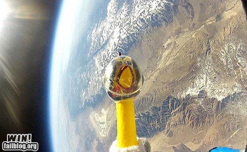 Chicken in Space WIN