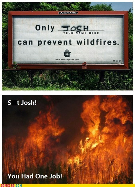 Damn It, Josh!