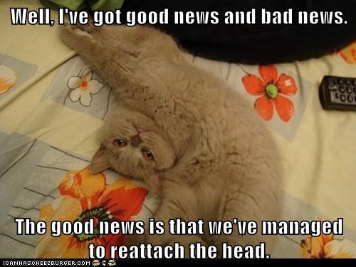 Lolcats: Well, I've got good news and bad news. 