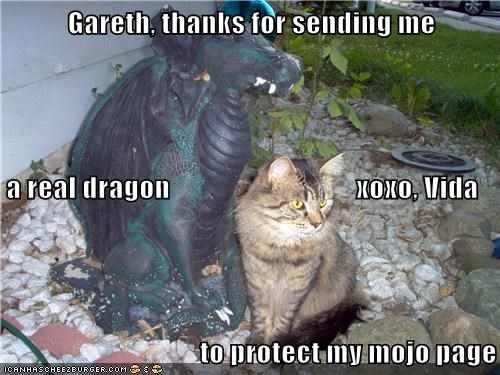 Gareth, thanks for sending me  a real dragon                                 xoxo, Vida to protect my mojo page