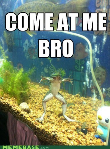 This Frog Means Business