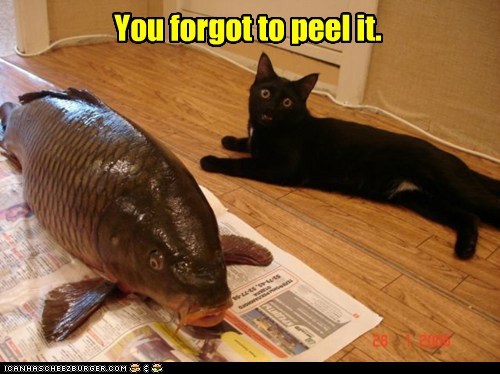 You forgot
