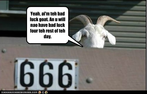 Bad luck goat strikes again